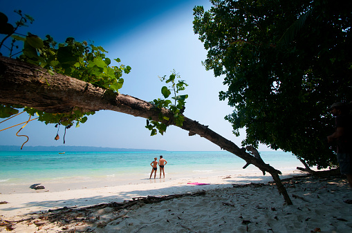 Turquoise Andaman beach framed by palms on Havelock Island