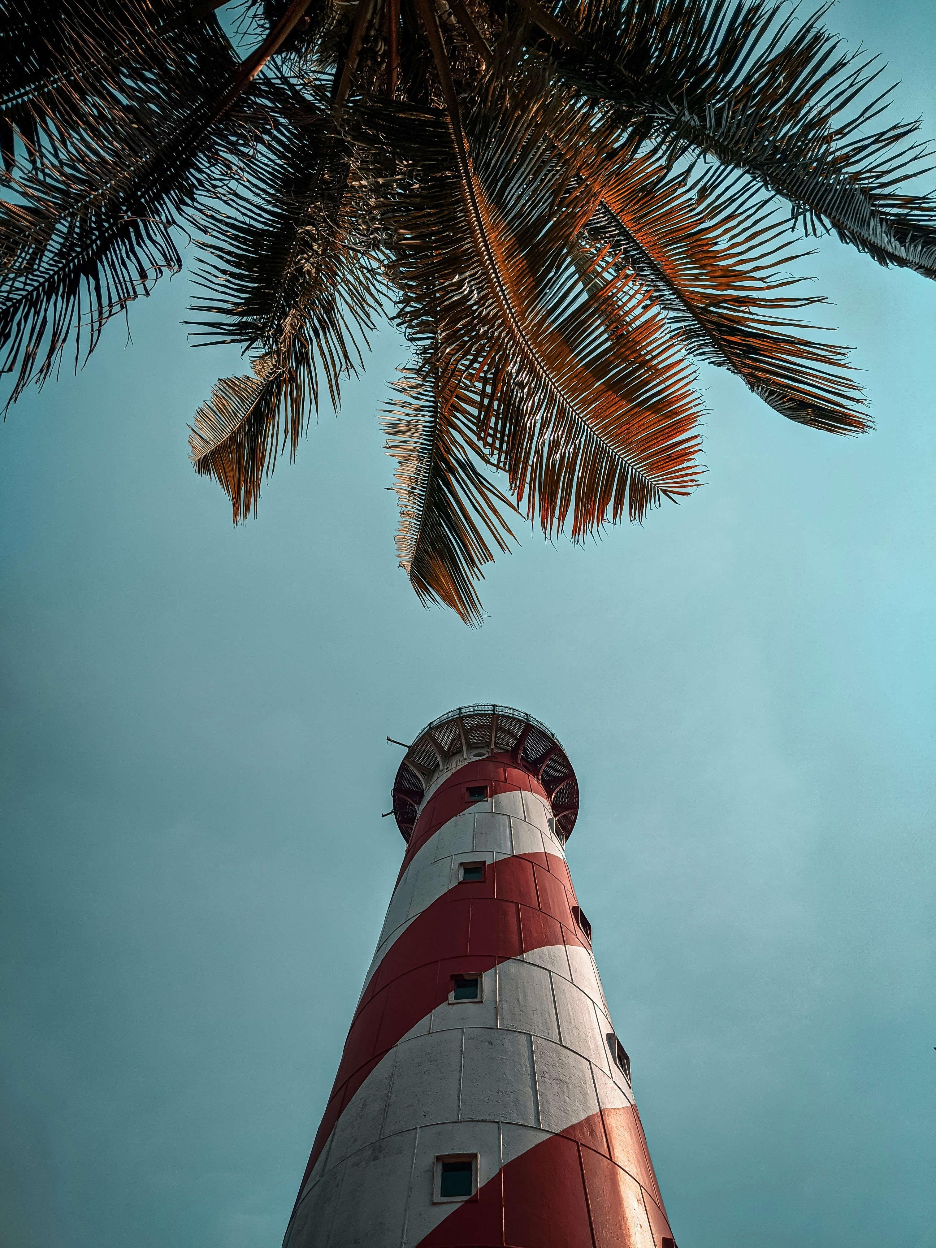 Red and white Andaman lighthouse framed by tropical palms